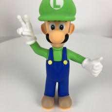 Picture of print of Luigi from Mario games - Multi-color This print has been uploaded by Andrew Wu