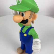 Picture of print of Luigi from Mario games - Multi-color This print has been uploaded by Andrew Wu