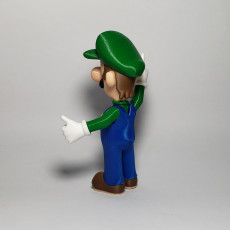Picture of print of Luigi from Mario games - Multi-color This print has been uploaded by Luis Albero