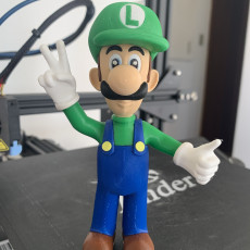 Picture of print of Luigi from Mario games - Multi-color This print has been uploaded by Alexandre
