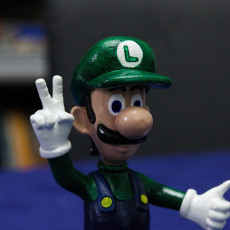 Picture of print of Luigi from Mario games - Multi-color This print has been uploaded by Gnome