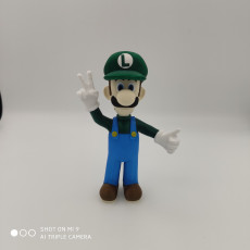 Picture of print of Luigi from Mario games - Multi-color This print has been uploaded by Patrick Born