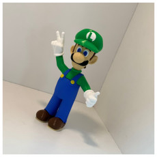 Picture of print of Luigi from Mario games - Multi-color