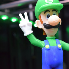 Picture of print of Luigi from Mario games - Multi-color This print has been uploaded by Thirteen Lynch