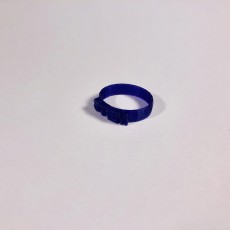 Picture of print of Stem Ring