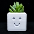 Happy Planter / 3D printed planter image