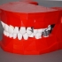 Dental Demonstration Model / Modèle de démonstration dentaire image