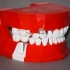 Dental Demonstration Model / Modèle de démonstration dentaire image