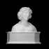 Bust of a Young Lady image