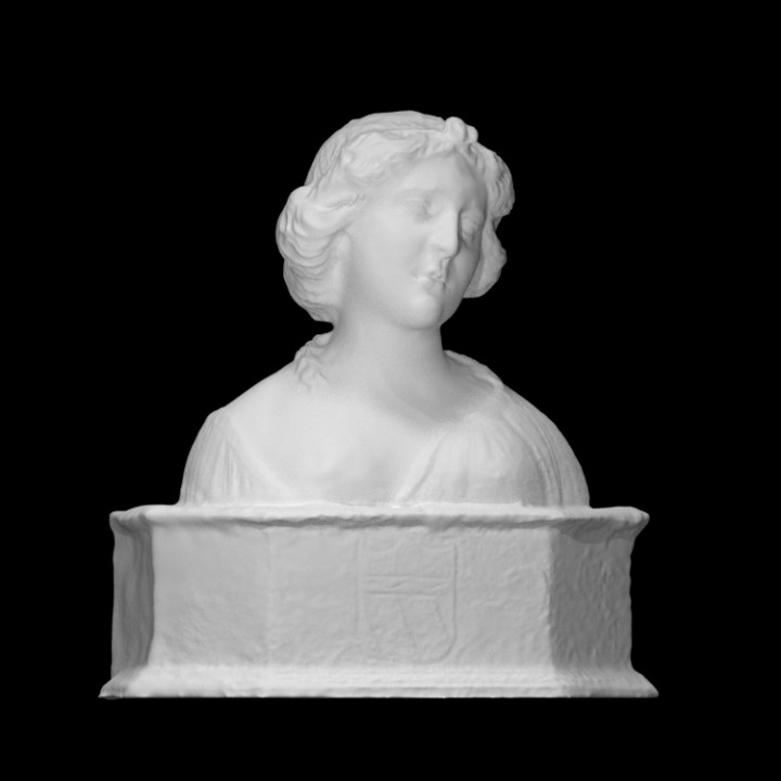 Bust of a Young Lady