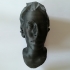 bust of a woman with low poly hair image