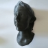 bust of a woman with low poly hair image
