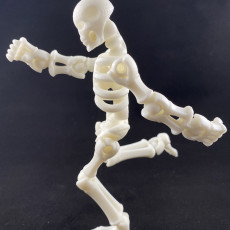 Picture of print of Build your own Skeleton.
