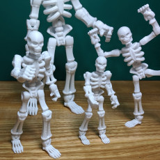 Picture of print of Build your own Skeleton.