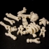 Build your own Skeleton. image
