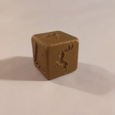 Picture of print of GOT Dice