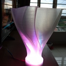 Picture of print of Unfolding Flower Vase Lampshade This print has been uploaded by Mithun Kumar