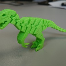 Picture of print of Flexi Raptor