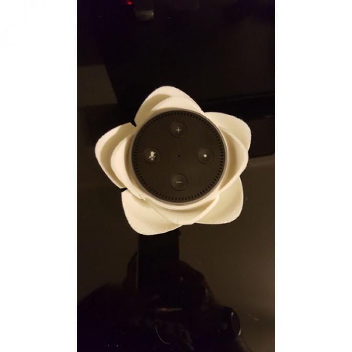 Echo Dot Flower Holder