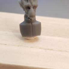Picture of print of alien busto