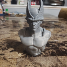 Picture of print of Perfect Cell Bust and Base DBZ Fan Art
