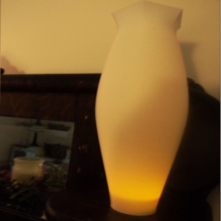 Bulb Vase #1