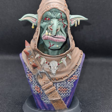 Picture of print of Snaggle The Wise - Goblin Hero This print has been uploaded by Nick Lindsay