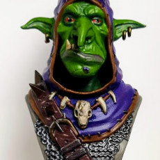 Picture of print of Snaggle The Wise - Goblin Hero This print has been uploaded by Benjamin Rogers