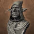 Snaggle The Wise - Goblin Hero image