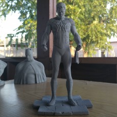 Picture of print of Spider-Man/Peter Parker Cet objet imprimé a été téléchargé par Compound 3D