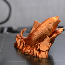 Picture of print of Carp