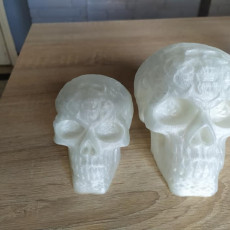 Picture of print of Celtic Skull (Hollow)