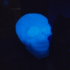 Celtic Skull (Hollow) print image
