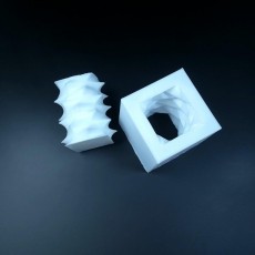 Picture of print of Square Bi-Directional Screw
