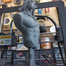 Picture of print of Conan the Barbarian bust This print has been uploaded by Alessandro Poli