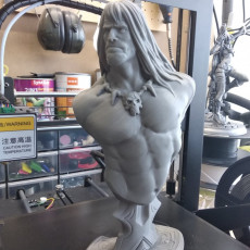 Picture of print of Conan the Barbarian bust This print has been uploaded by Alessandro Poli