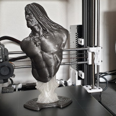 Picture of print of Conan the Barbarian bust This print has been uploaded by Martin Barros