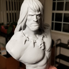 Picture of print of Conan the Barbarian bust This print has been uploaded by Scott Menzel