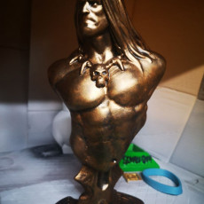 Picture of print of Conan the Barbarian bust This print has been uploaded by Andre