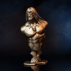 Picture of print of Conan the Barbarian bust This print has been uploaded by Rob Pauza