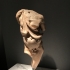 Roman torso image