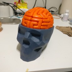 Picture of print of Dr. Brain Breaker
