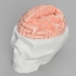 Dr. Brain Breaker image