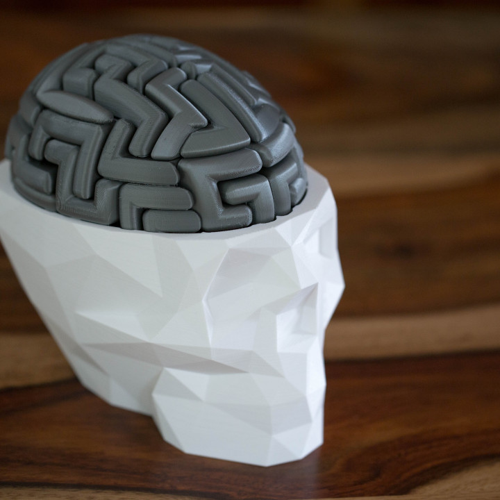 Brain dr. Головоломка на 3д принтере мозг. 3d паззл мозг. Мозг принт. Dr Brain Breaker.