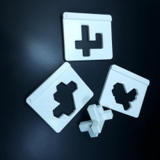 Picture of print of Fit-it-through 3D Puzzle
