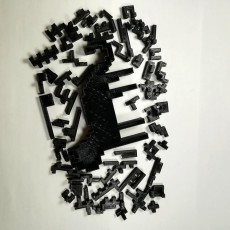 Picture of print of The impossible 3D Cat puzzle