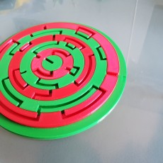 Picture of print of Twisted Maze Puzzle