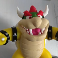 Picture of print of Bowser from Mario games - Multi-color This print has been uploaded by Frank Holten