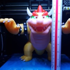 Picture of print of Bowser from Mario games - Multi-color This print has been uploaded by JDH1898