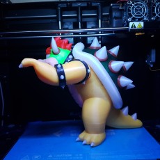 Picture of print of Bowser from Mario games - Multi-color This print has been uploaded by JDH1898